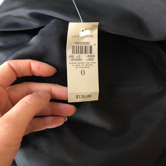 Ann Taylor Color-block Neutrals Dress - Picture 5 of 6